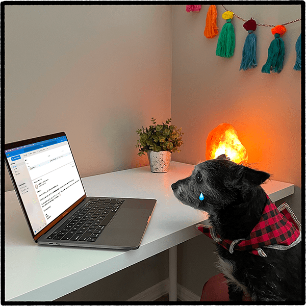 A tear falls from the dog's eye as she is reading the email