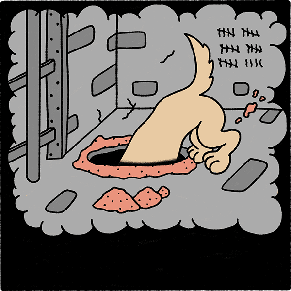 A dog digging a hole in the ground